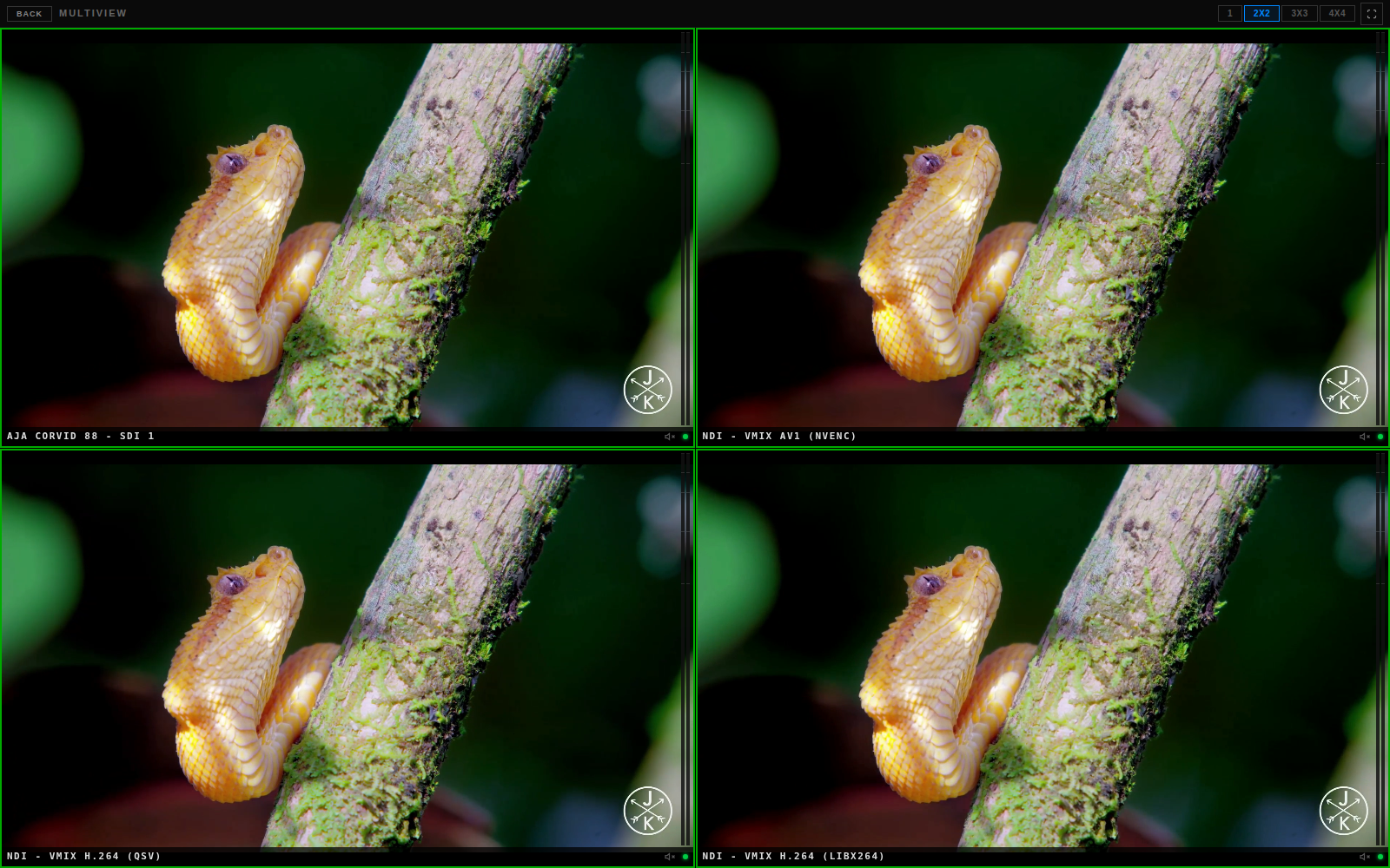 Browser multiview in a 2x2 grid showing four live tiles with green tally borders: AJA Corvid 88 SDI capture, NDI vMix output via AV1 NVENC, NDI vMix output via Intel QSV, NDI vMix output via libx264